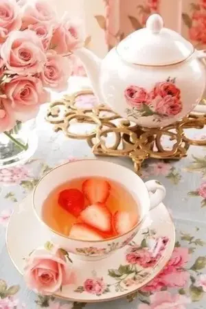 ปกนิยาย Haven House II  เรื่องเล่าจากร่มชายคา II