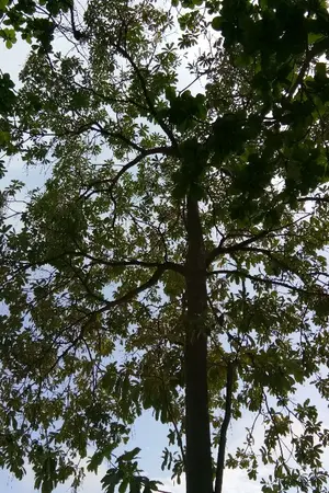 ปกนิยาย รักหวานใสวัยต่างรุ่น