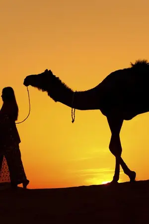 ปกนิยาย เจ้าหญิงแห่งทะเลทราย (องค์หญิงบำเรอรัก)