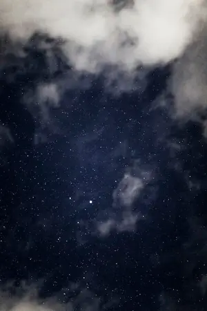 ปกนิยาย pd101 : wannaone : Omagaverse