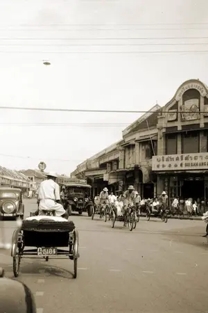 ปกนิยาย พฤกษาลดาวัลย์