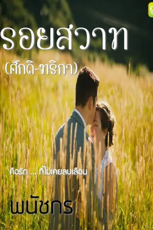 ปกนิยาย