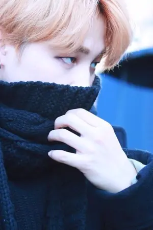 ปกนิยาย Fic : My Chef My Killer VMIN