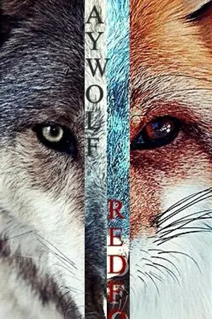 ปกนิยาย Gray Wolf & Red Fox | Daniel x Woojin [WANNAONE]