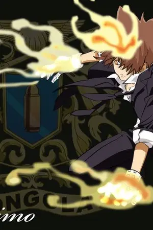 ปกนิยาย [Fic Reborn The Maze Vongola ฝ่าวงกตไปเจอวองโกเล่] (Yaoi) ‖ รับสมัครตัวะคร