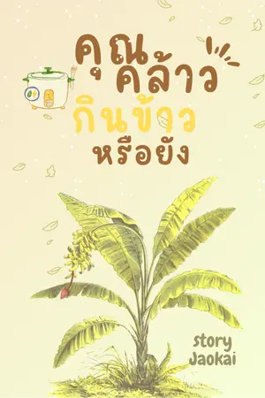 ปกนิยาย