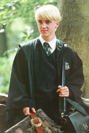 ปกนิยาย Harry Potterรักเจ้าชายสลิธีริน[DM/OC]