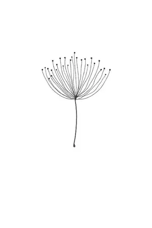 ปกนิยาย Dandelion /ความหวัง