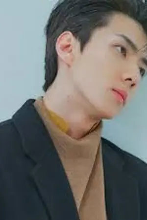 ปกนิยาย Sehun x you | 30 Days สามสิบวันฉันรักเธอ