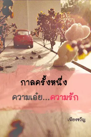 ปกนิยาย