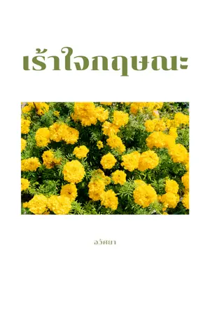 ปกนิยาย