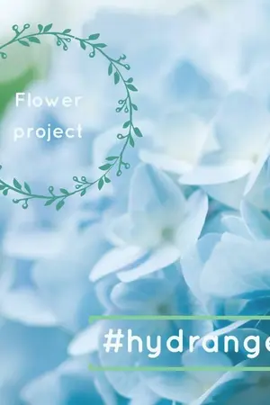 ปกนิยาย [BUNGOU STRAY DOGS/BSD][FLOWER PROJECT] HYDRANGEA  #DACHUU