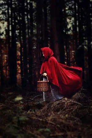 ปกนิยาย The Little Red ridding hood #พ่อหมาป่านอ