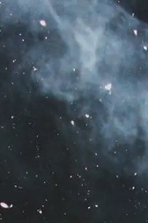 ปกนิยาย movement (for nielong/allong)