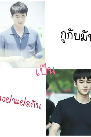 ปกนิยาย กูกับมันเป็นพี่น้องฝาแฝดกัน (I and He As Twins) [Boy*Boy]