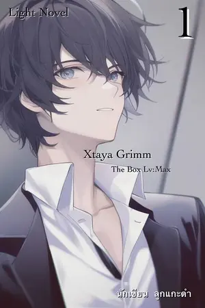 ปกนิยาย พลังกระจอกของผมเลเวลตัน The Box LV:Max