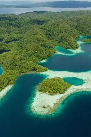 ปกนิยาย [SEVENTEEN] Lost in ISLAND (Minwon,Coupshan,Soonhoon etc.)