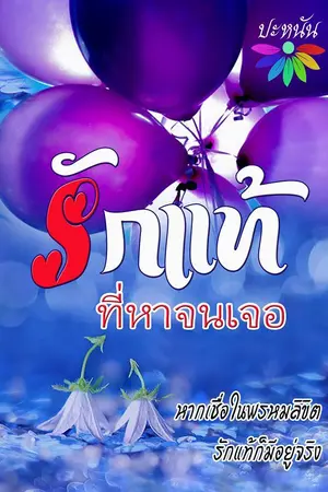 ปกนิยาย