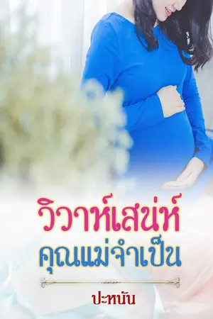 ปกนิยาย