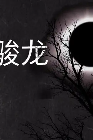 ปกนิยาย ชุนหรง 骏龙