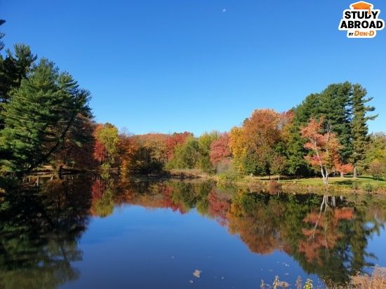 Loomis Chaffee School