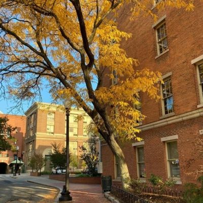 Photo Credit: IG @risd1877