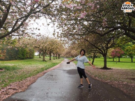 สกอตแลนด์