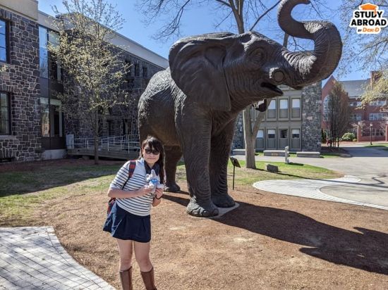 Jumbo the Mascot Tufts University