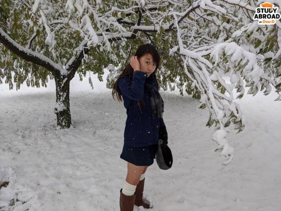 หลังพายุหิมะเข้า