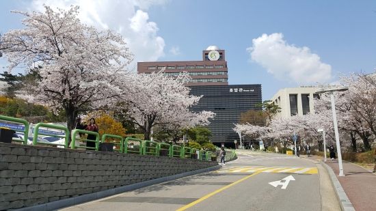성균관대학교 - Sungkyunkwan University International