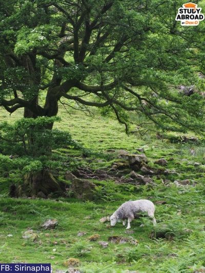 Stickle Tarn, Langdale2