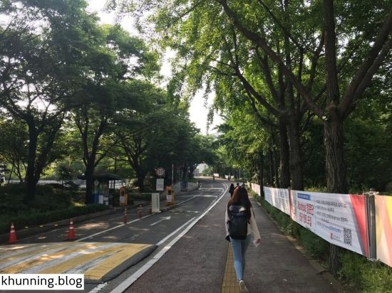 ทางเดินเข้ามหาวิทยาลัยจากประตูหน้า