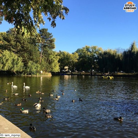 สวนสาธารณะประจำเมืองคลูช