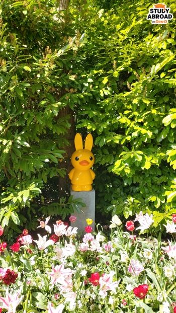 (Keukenhof Garde, หลังจากที่สหราชอาณาจักรยกเลิก Travel Restriction แล้ว หลายคนไปเที่ยวต่างประเทศเยอะขึ้น ล่าสุดเราได้ไป Netherlands มาโดยนั่งรถไฟ Eurostar จาก London ไปถึง Amstradams ใช้เวลาประมาณ 4 ชั่วโมง)