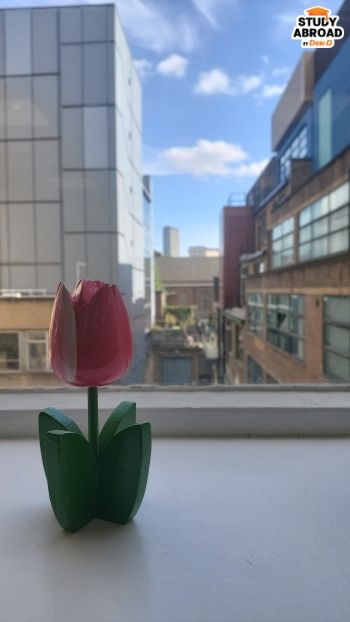 (ข้อดีการเรียนป.เอกคือมี Desk สำหรับตัวเองโดยเฉพาะ เราไม่ต้องแย่งที่นั่งในห้องสมุดเหมือนตอนเรียนป.ตรีกับโท)