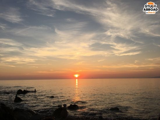 (Portland, Dorset - ไปเที่ยวกับเพื่อนที่ฝึกงานด้วยกันไปดูพระอาทิตย์ตกดิน)