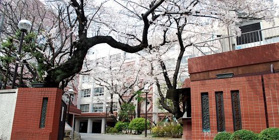 Kagawa Nutrition University