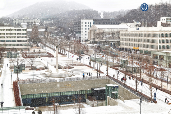 연세대학교 - Yonsei University