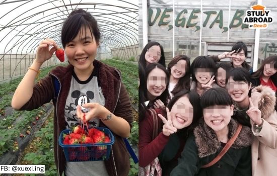 ชวนกันไปเก็บสตรอเบอร์รี <3