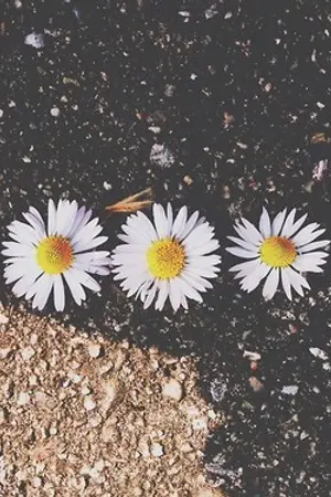 ปกนิยาย [Wanna One/PD101 - WooSeob] Sun and Sea