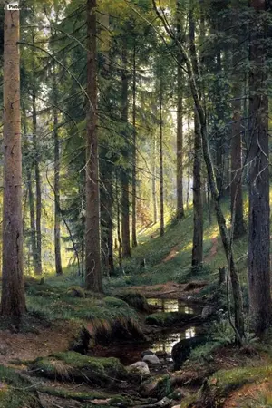 ปกนิยาย ป่า #nomin