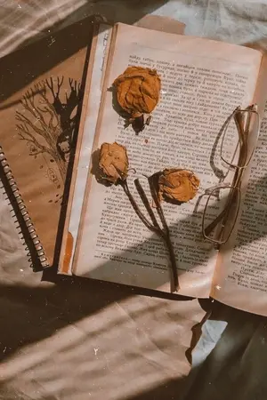 ปกนิยาย [Fic Harry Potter] Warm Embrace (OC)