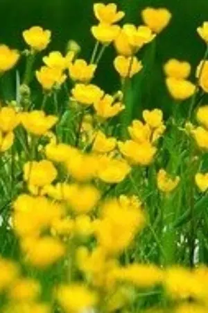 ปกนิยาย อดีตรักหวนคืน​  (จบแล้ว)​