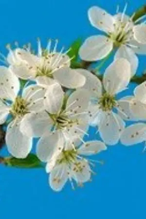 ปกนิยาย อตีตรักคืนใจ