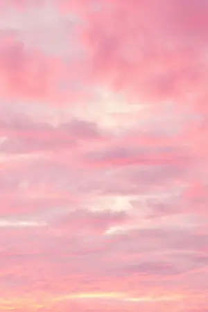 ปกนิยาย ป ล า ย ส า ย รุ้ ง #โฮลิน