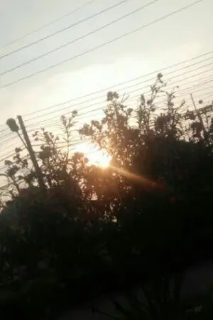 ปกนิยาย vloger สายกิน