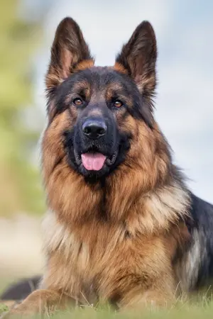 ปกนิยาย กามเทพที่ชื่อบัวลอย