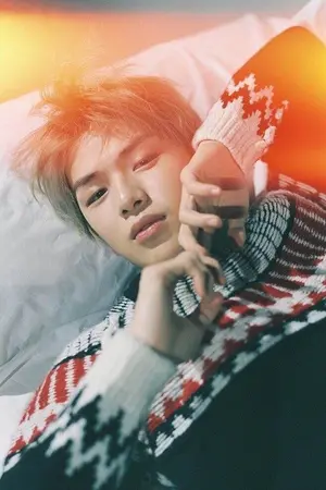 ปกนิยาย FORBIDDEN | 2918 #เนียลอง