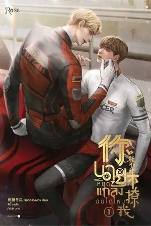 ปกนิยาย