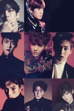 ปกนิยาย The Soulmate (omegaverse)